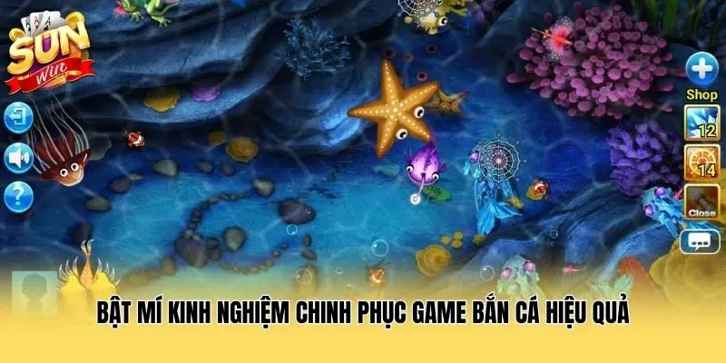 Bật mí kinh nghiệm chinh phục game bắn cá hiệu quả