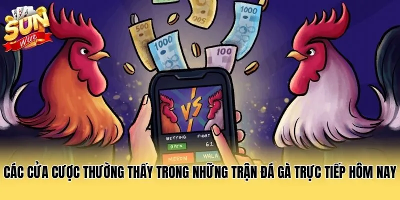 Các cửa cược thường thấy trong những trận đá gà trực tiếp hôm nay