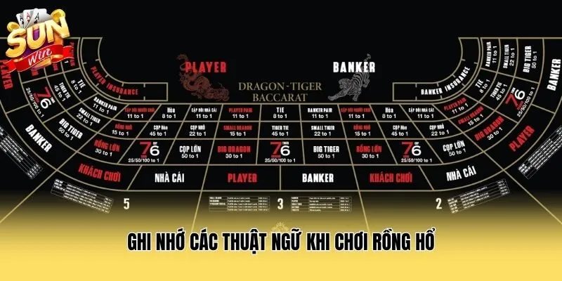 Ghi nhớ các thuật ngữ khi chơi rồng hổ