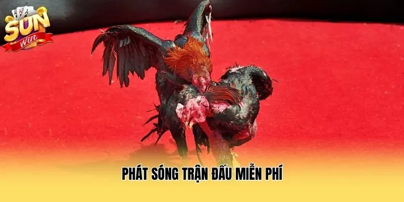 Phát sóng trận đấu miễn phí