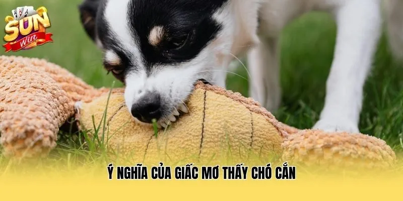 Ý nghĩa của giấc mơ thấy chó cắn